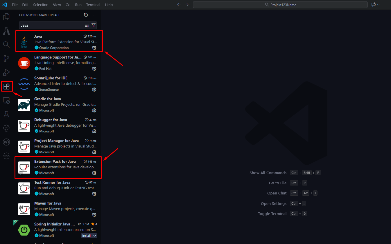Extension installieren